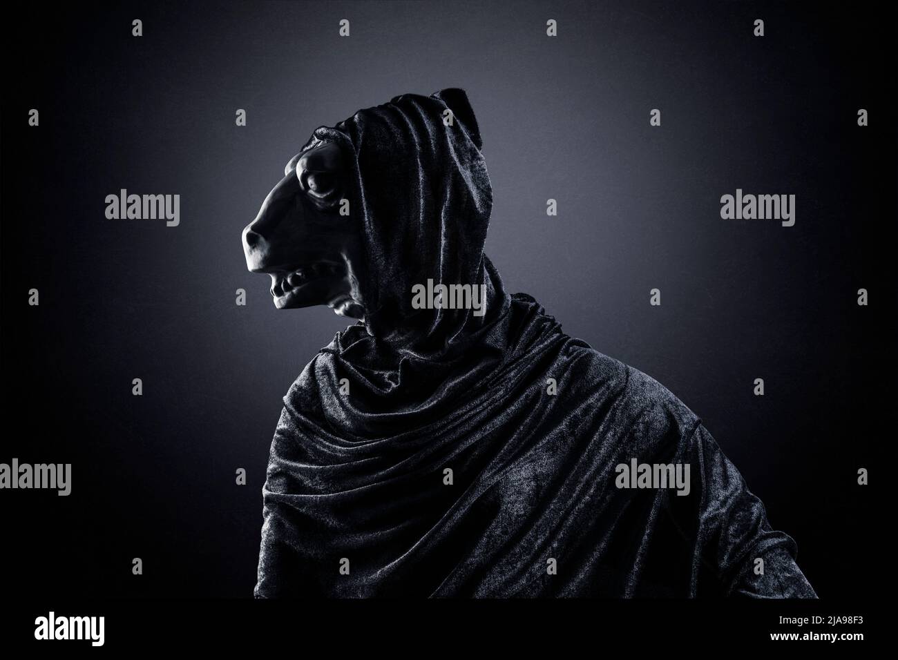Reptile in hooded cloak at night over dark misty background Stock Photo
