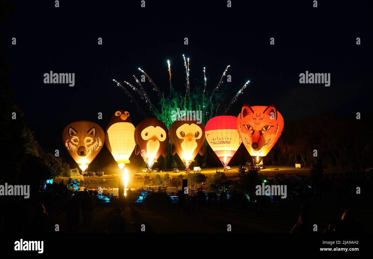Balloons light up as they are tethered to the ground during the night