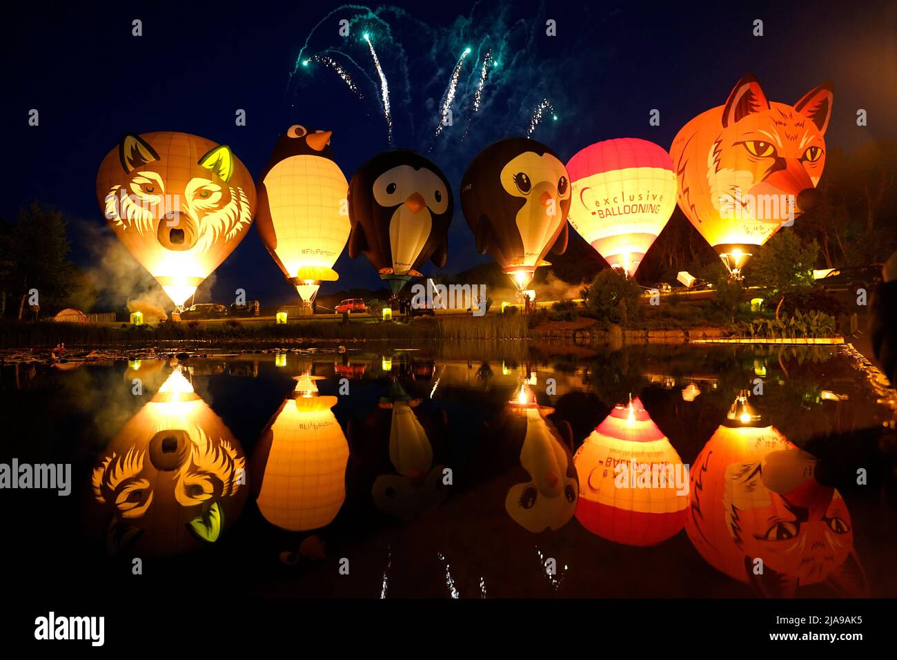 Balloons light up as they are tethered to the ground during the night
