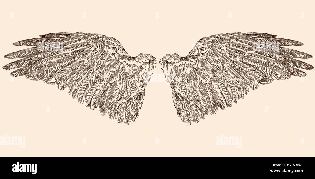 Two spread wings of an angel made of feathers isolated on a beige background. Stock Vector