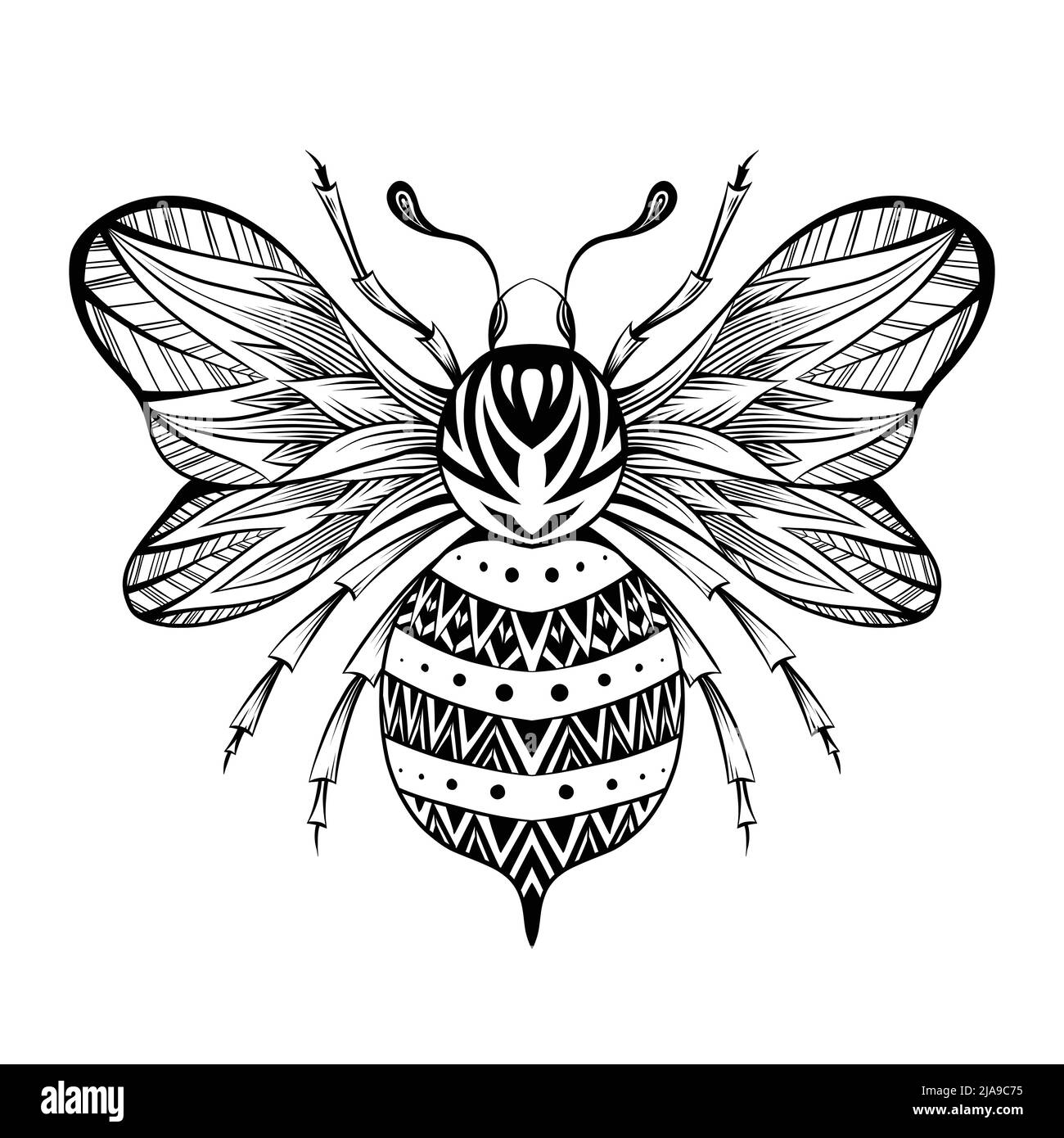 Vector drawing of a bee tattoo. Monochrome drawing of honeybee with tracery  ornament. Insect with wings with boho ornament isolated from background  Stock Vector Image & Art - Alamy