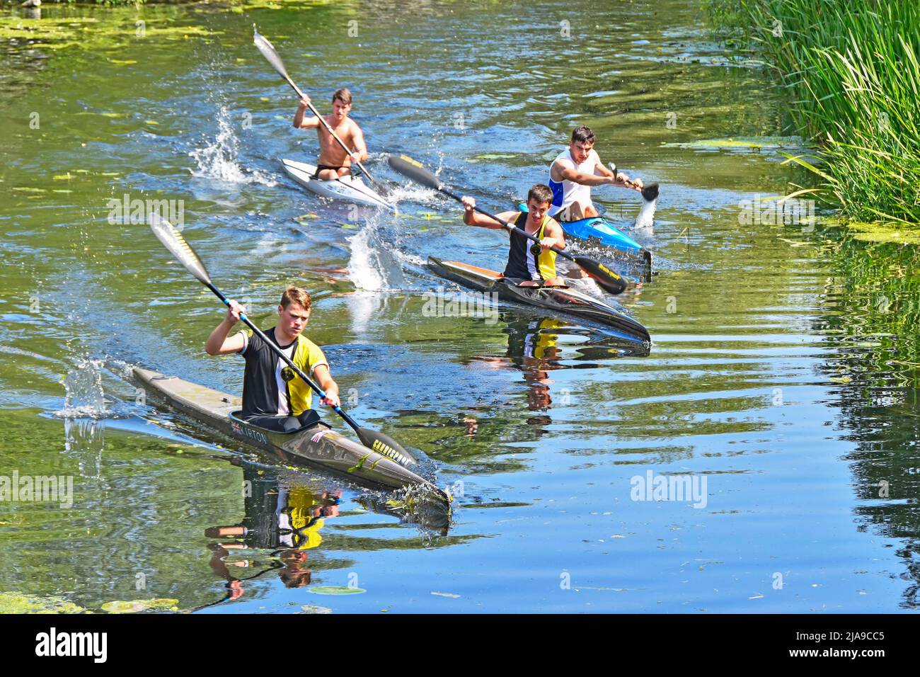 Summer view looking down from above on a group of four enthusiastic young males  paddling kayaks on calm River Chelmar in Chelmsford Essex England UK Stock Photo