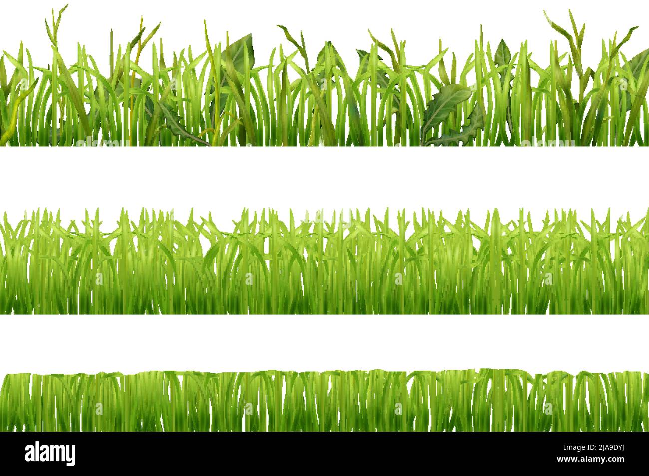 Set of three realistic horizontal seamless borders with green grass ...