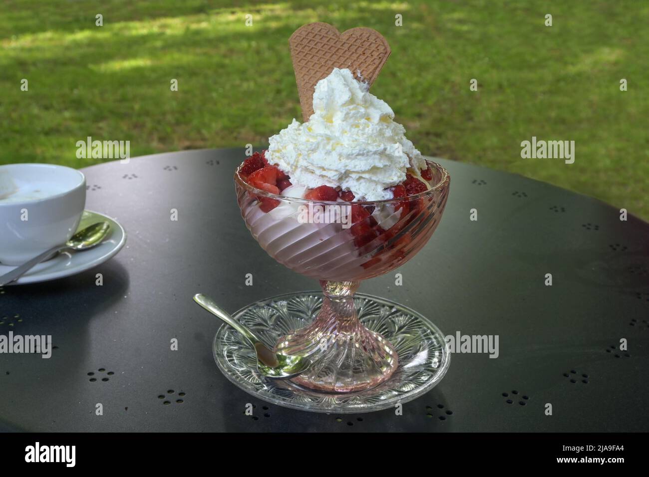Ice cream sundae with strawberries and whipped cream served in a glass bowl on a table in the garden cafe, copy space, selected focus, narrow depth of Stock Photo