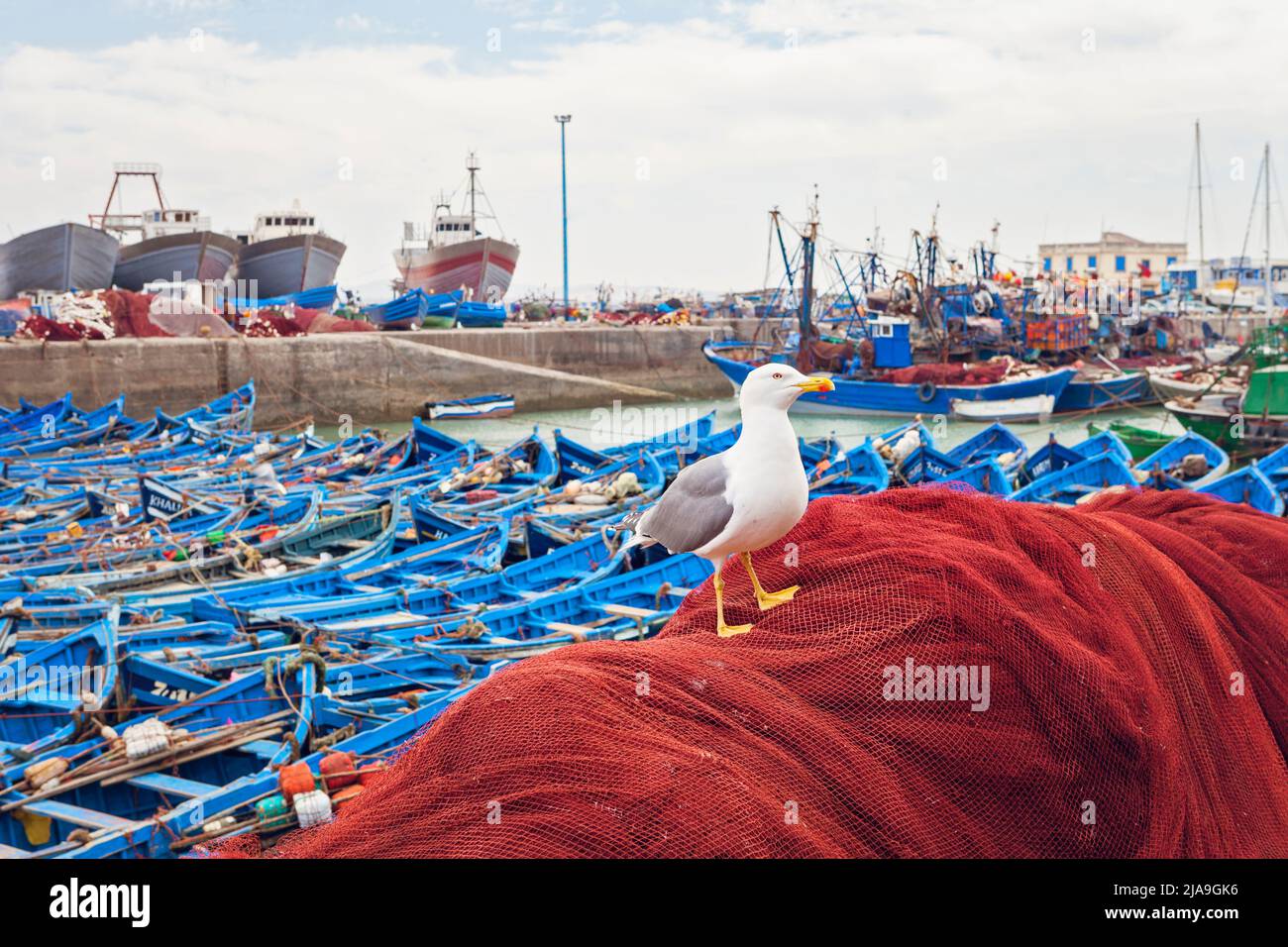 Blue fishing boats, Essaouira Fishing Port, Morocco Stock Photo