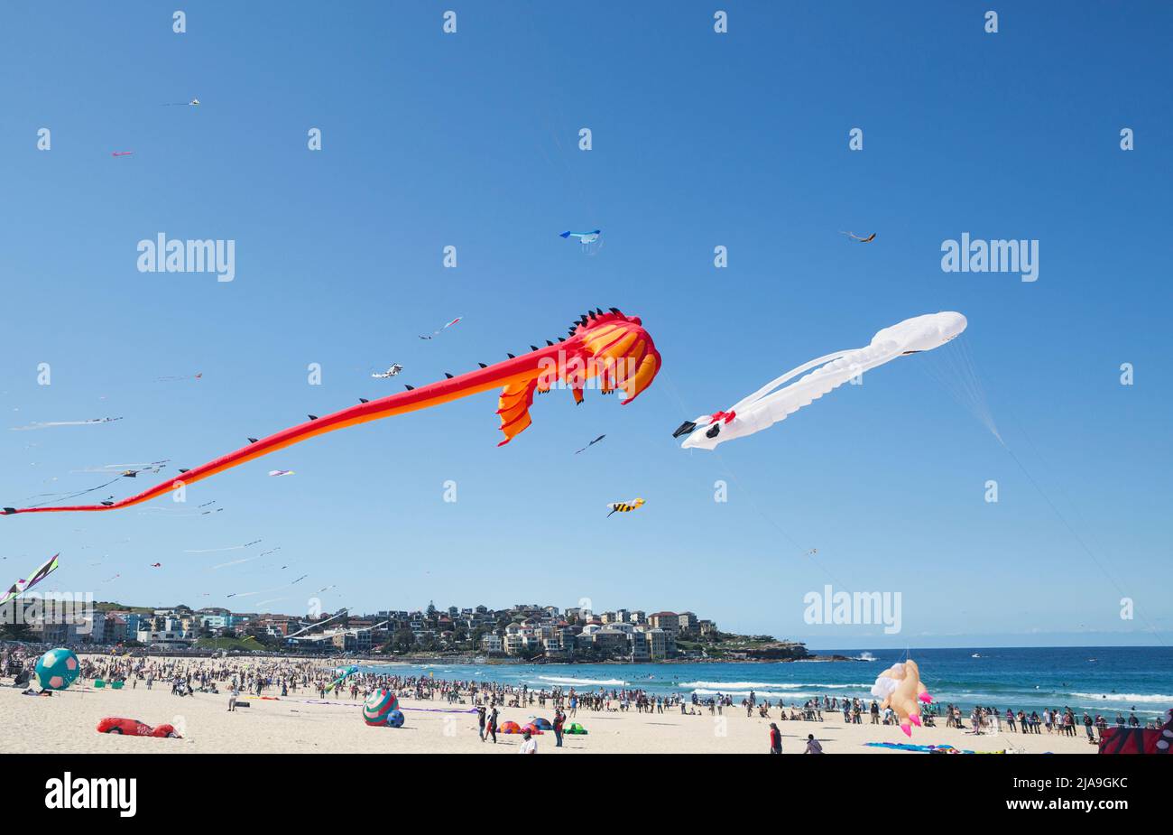 Festival of the Winds, Bondi Beach, Sydney. Kite flying festival. Stock Photo