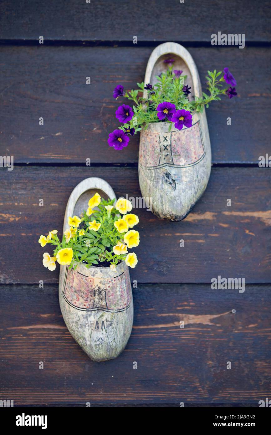 Clogs used as wall art with flowers at Zaanse Schans museum, North Holland. Working windmills, tourist attraction. Stock Photo