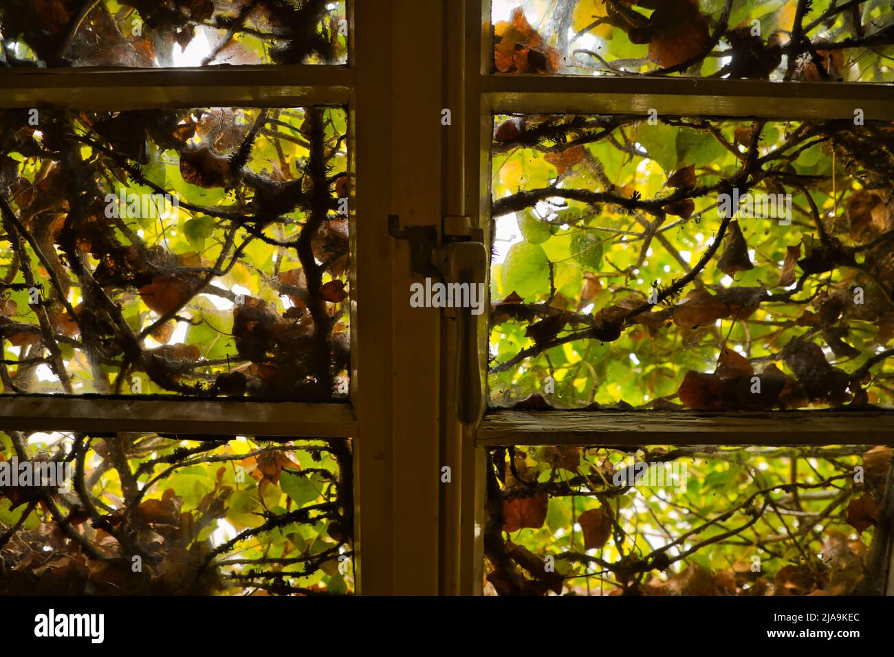 Schallschutz hi-res stock photography and images - Alamy