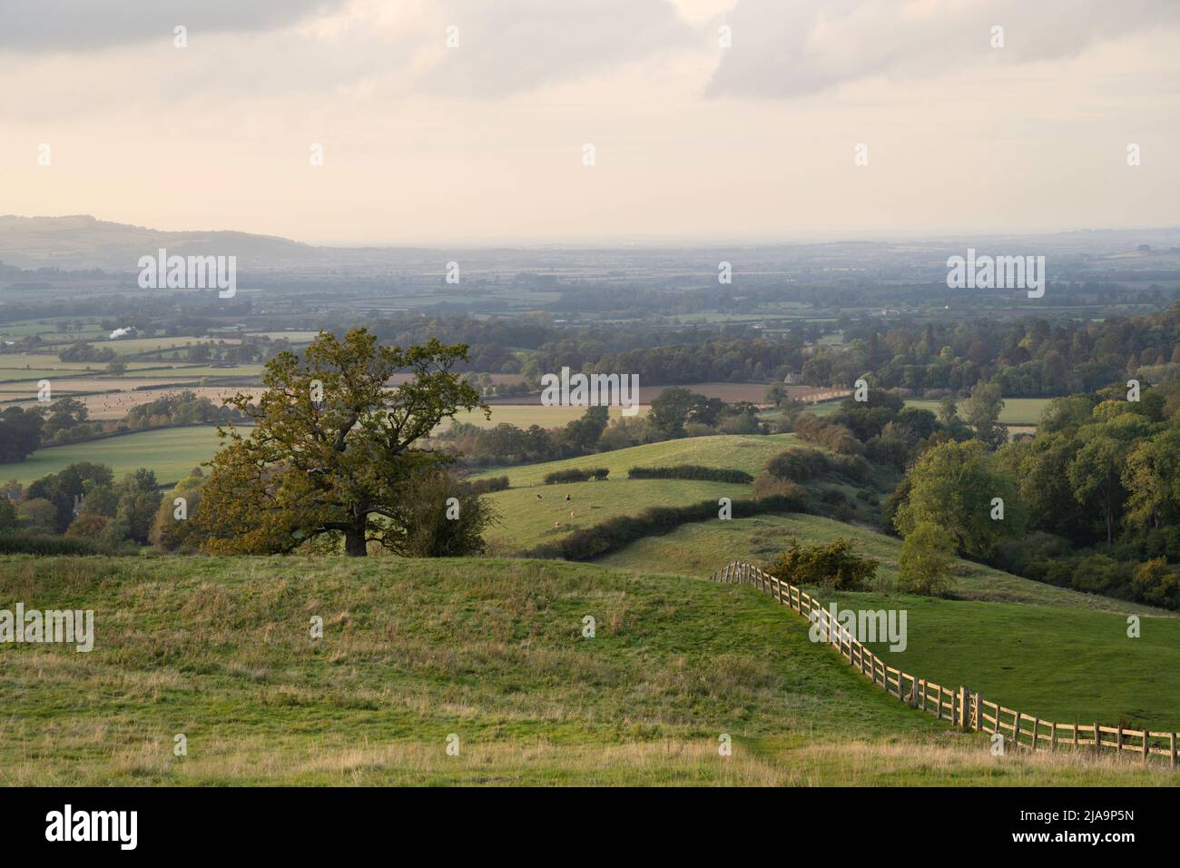 Countryside at Lower Coscombe, Cotswolds, Gloucestershire, England. Stock Photo