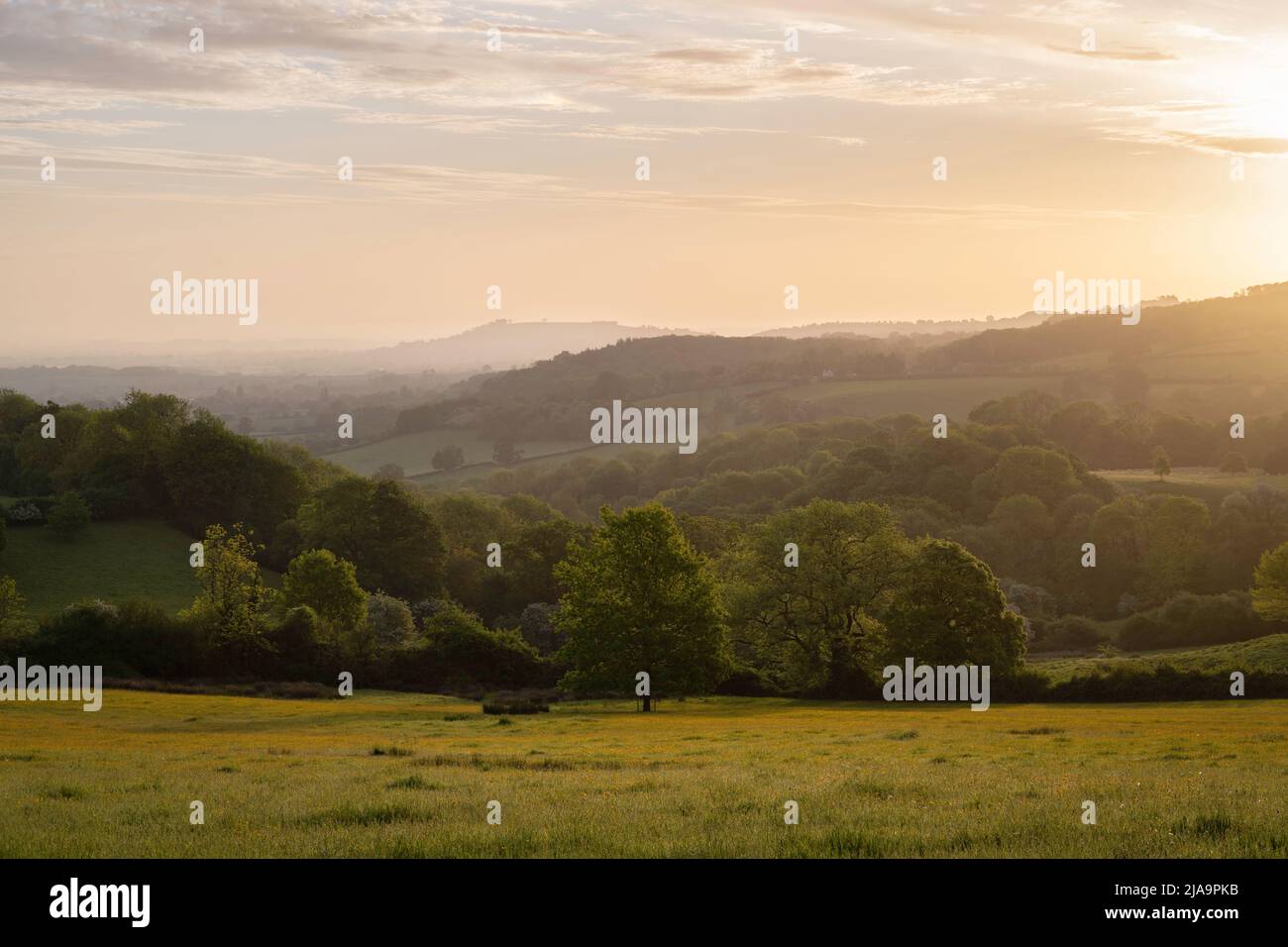 North Cotswolds near Chipping Campden at dawn, England Stock Photo Alamy