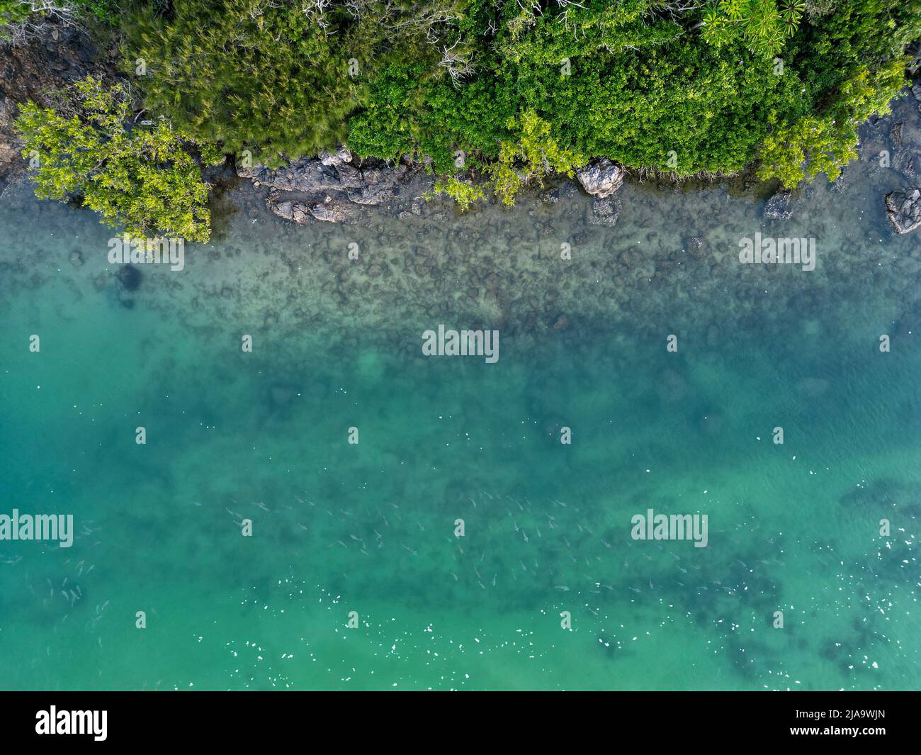 Aerial view crystal clear blue hi-res stock photography and images - Alamy
