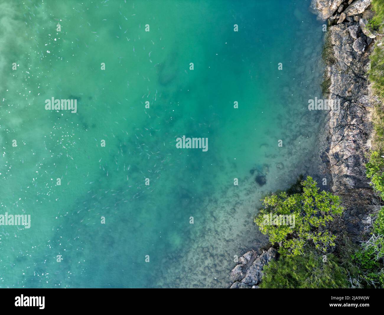 Aerial view crystal clear blue hi-res stock photography and images - Alamy