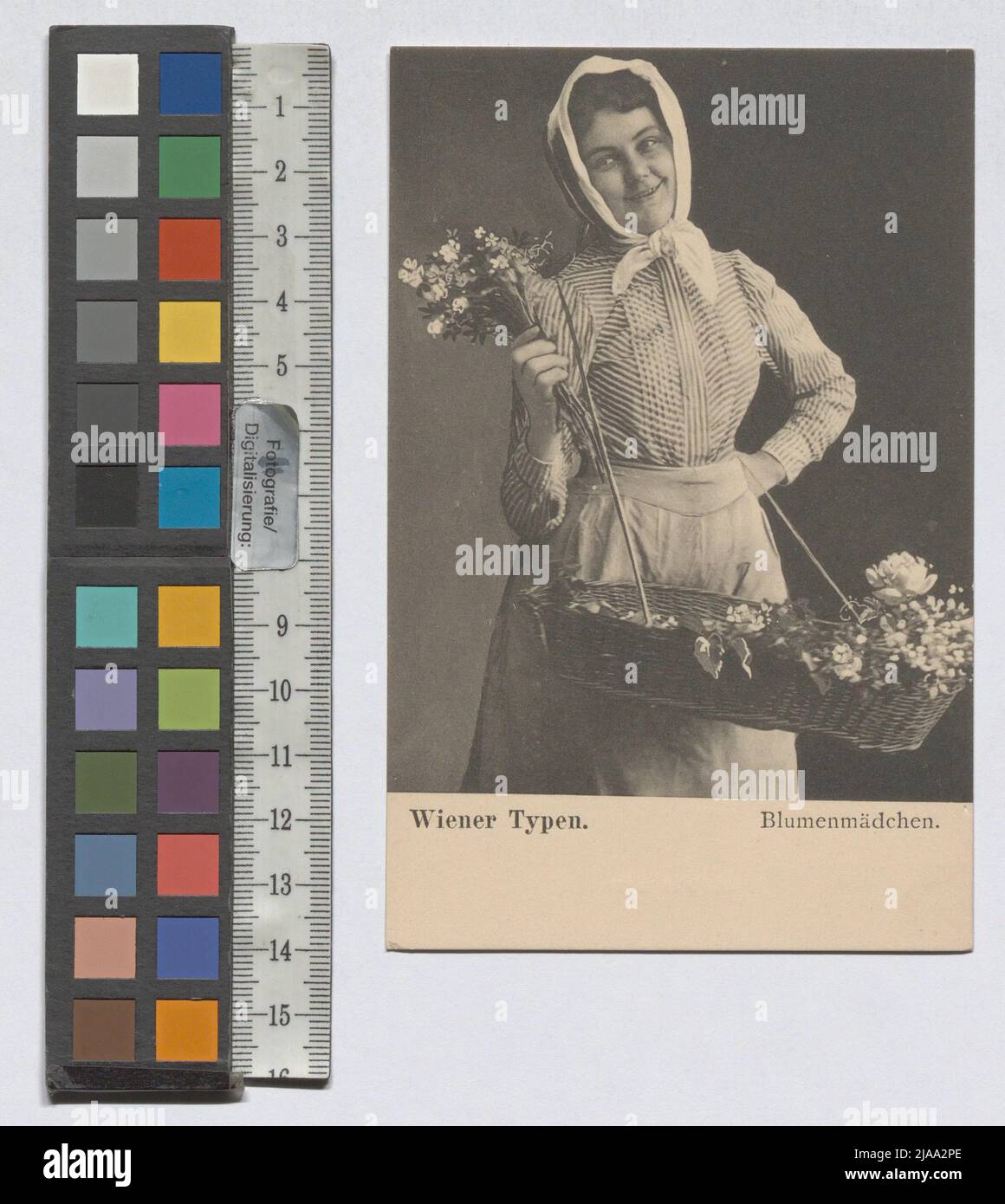 Wiener Type " " Flower girl ". Brothers Kohn KG (B. K. W. I