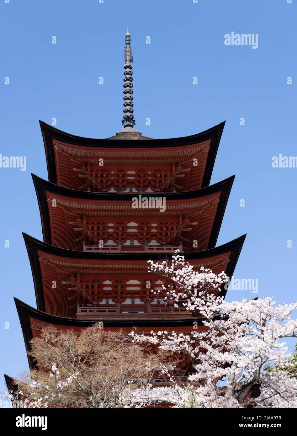 Hokoku Shrine aka Toyokuni Shrine Five-Story Pagoda with cherry blossom 厳島神社 五重塔 Miyajima Island aka Itsukushima, Hiroshima Bay, Western Honshu, Japan Stock Photo