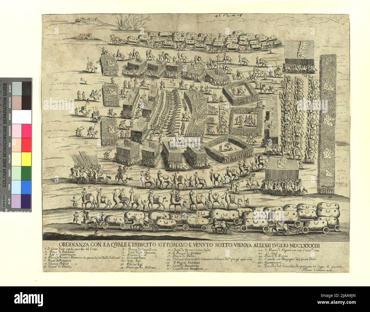 Cardanus hi-res stock photography and images - Alamy