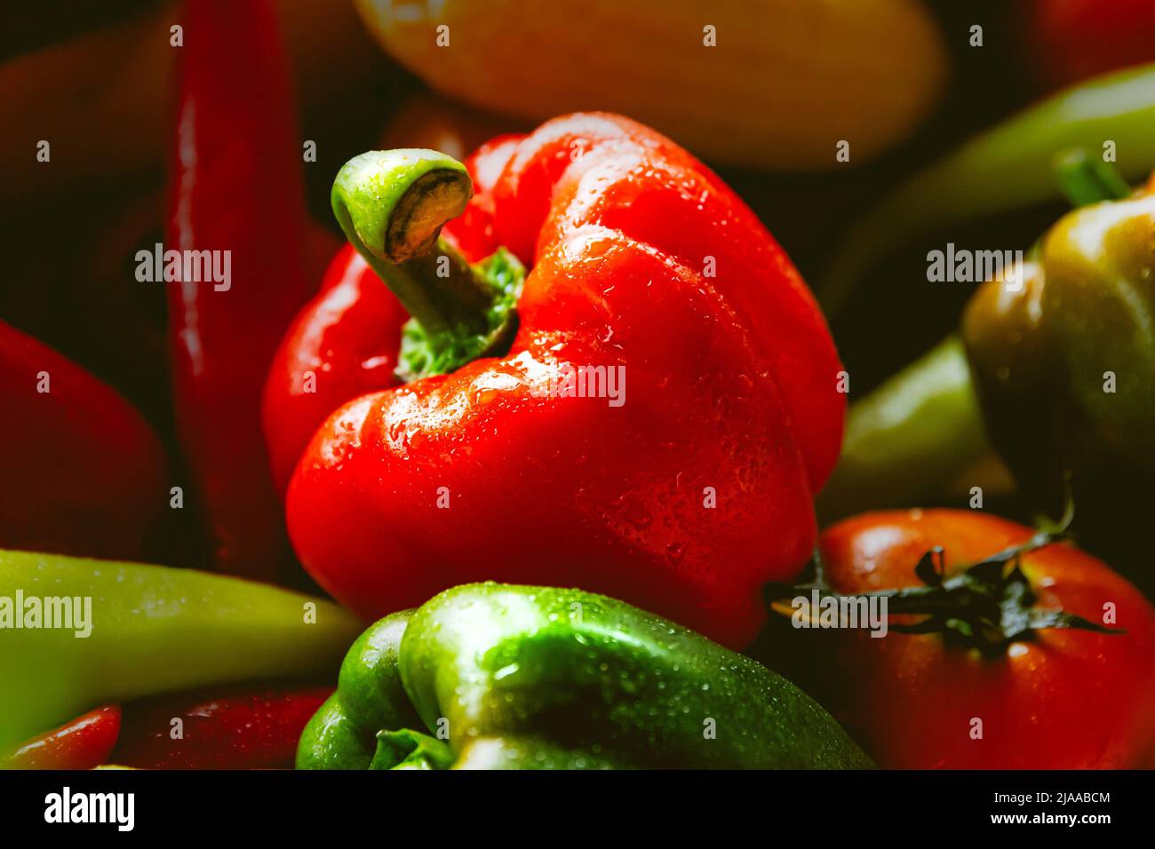 bell pepper or sweet pepper popular hot and spicy vegetable ingredient