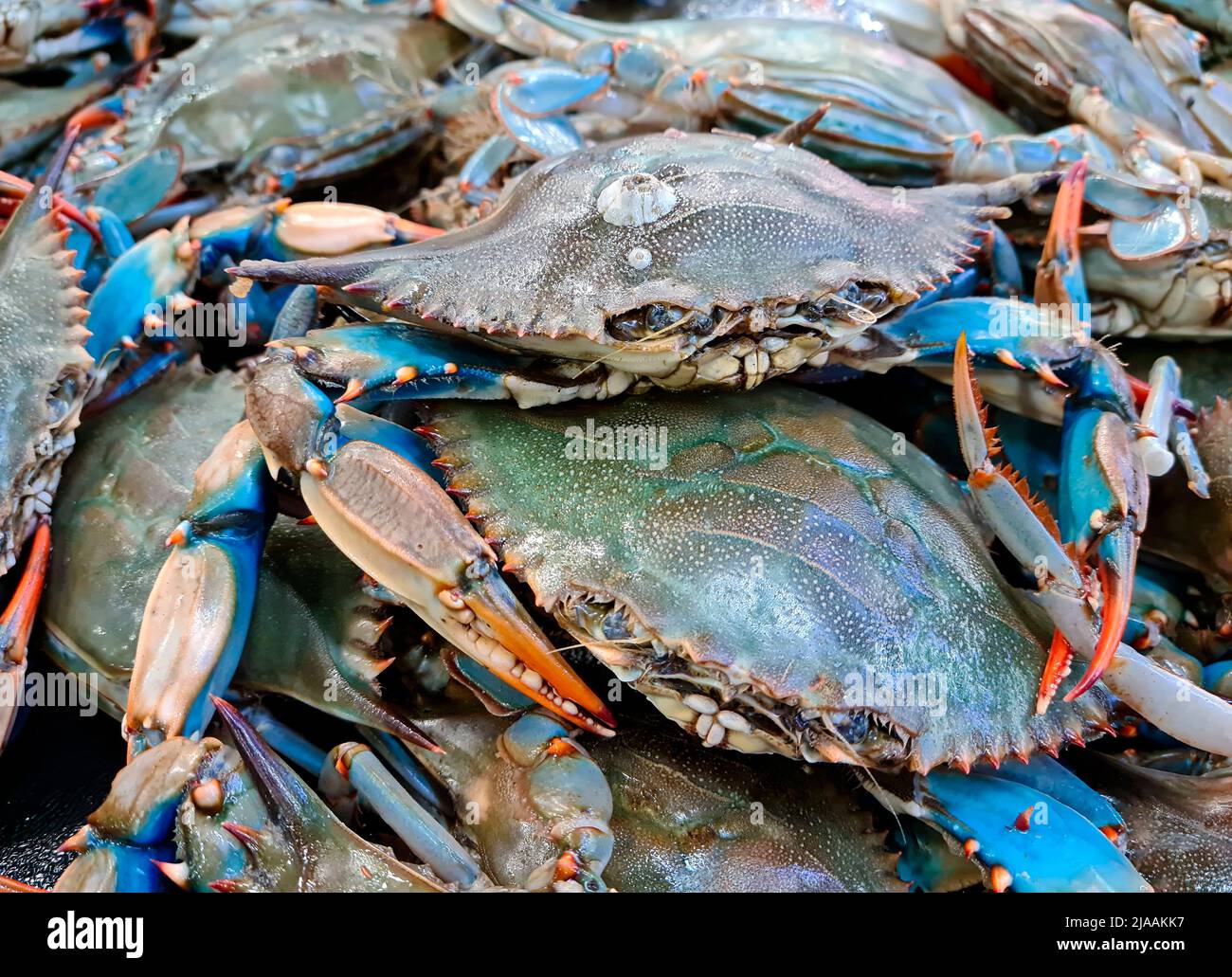 blue crab at the fish market, fishmonger Stock Photo Alamy
