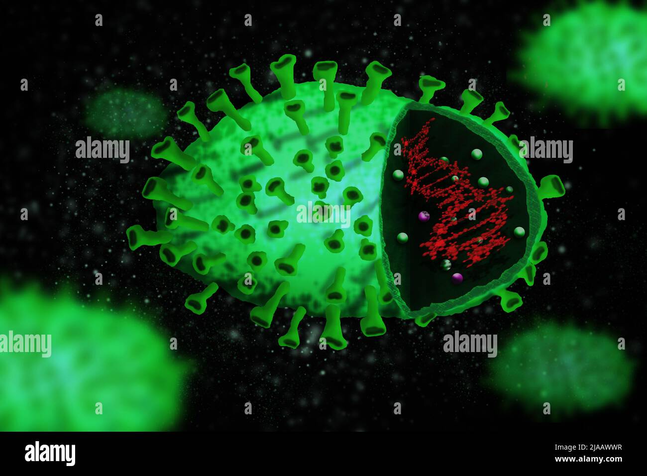 monkeypox virus close up illustration Stock Photo