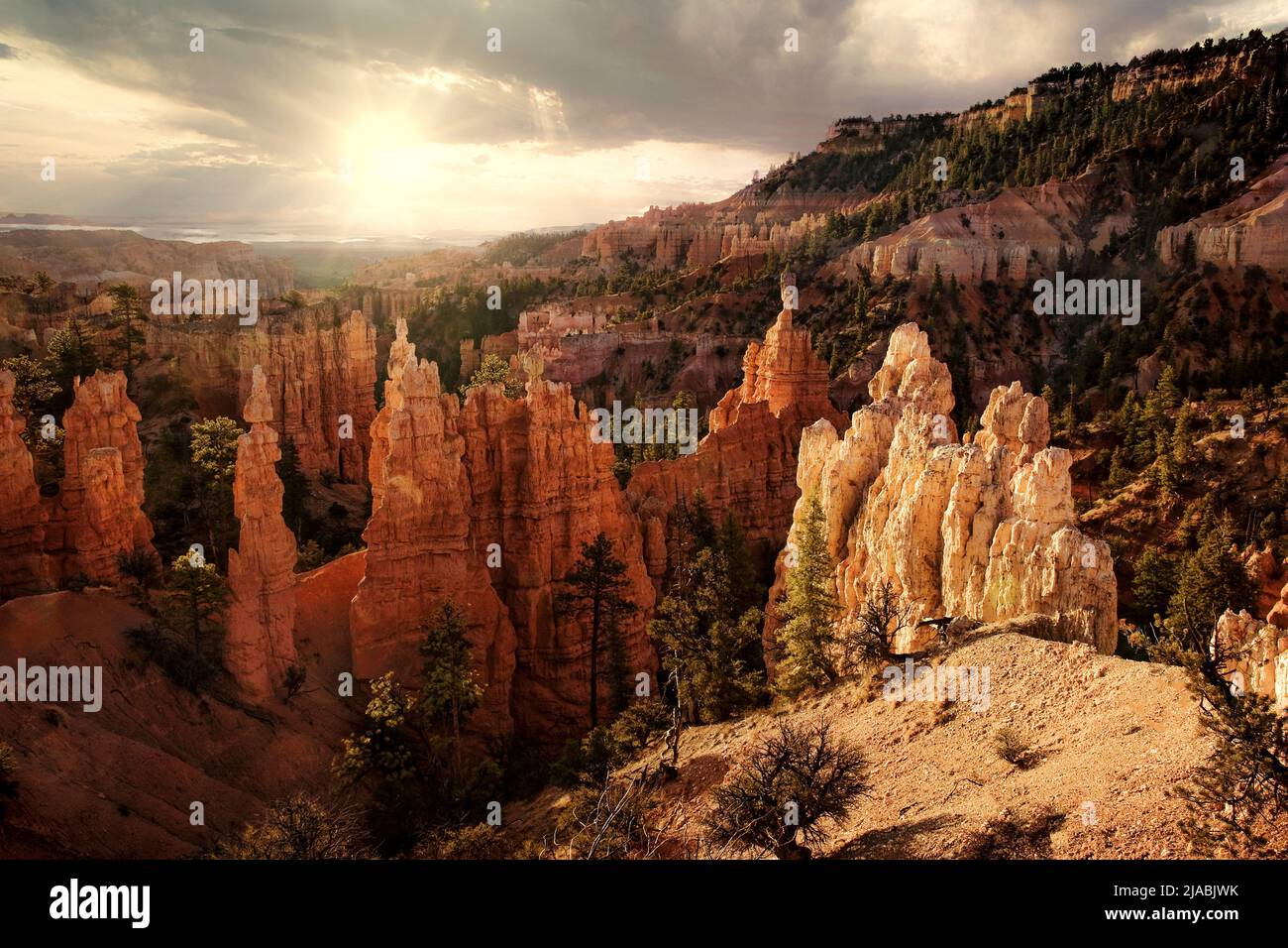 The Hoodoos and rock formations of Bryce Canyon National Park reflect the early morning sunshine in Utah. Stock Photo