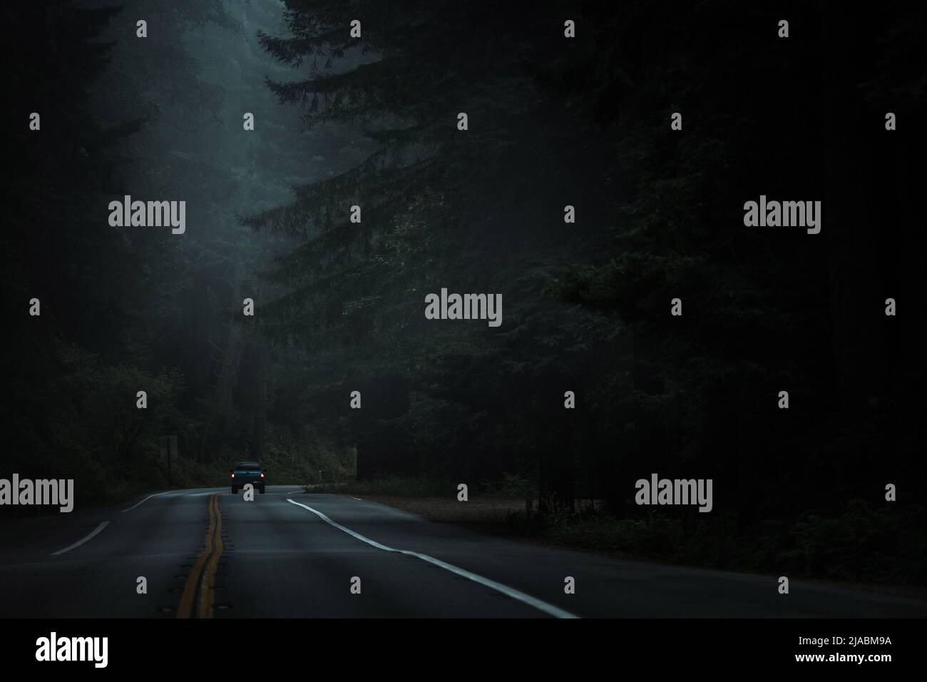 Pickup Truck on the Northern California 101 Redwood Highway After Dark. Woodland Road. Stock Photo