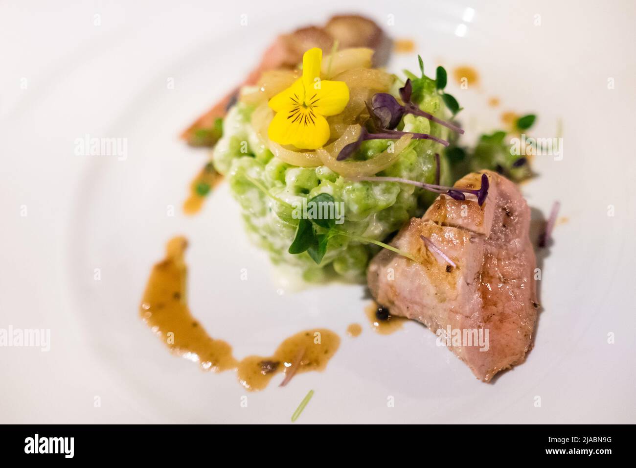 Grilled meat piece on the white plate served with green peas with cream sauce and microgreens. Healthy meals preparation and cooking concept Stock Photo