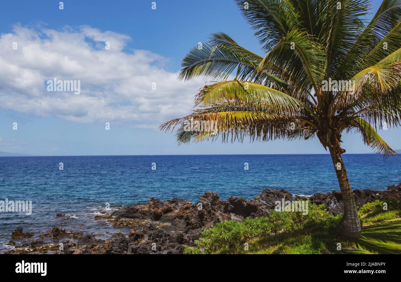 Beach in Hawaii, Dream landscape. Paradise Sunny beach with turquoise sea. Summer vacation and tropical beach concept. Stock Photo