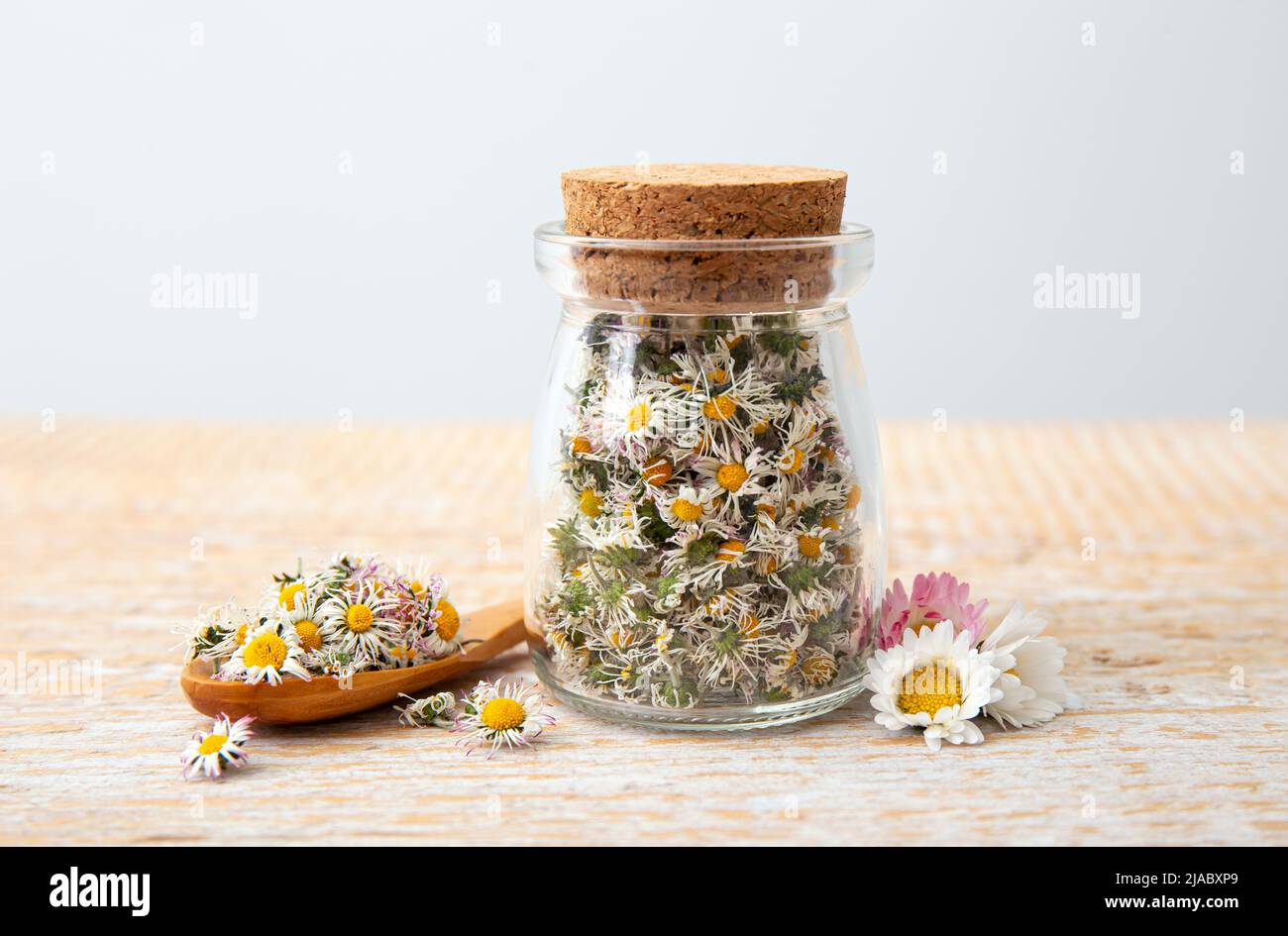 Dried herbal medicinal plant Common Daisy, also known as Bellis Perennis. Dry flower blossoms in glass jar and wood spoon, ready for making herbal tea Stock Photo