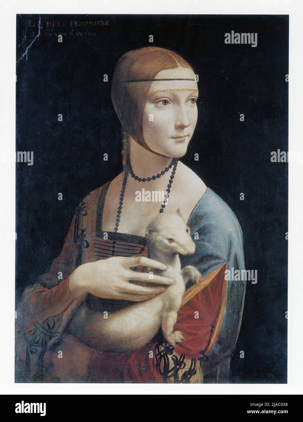 LEONARDO DA VINCI. PORTRAIT OF CECILIA GALLERANI (LADY WITH AN ERMINE). 1490. OIL ON WOOD. 54.8 X 40.3 CM Stock Photo