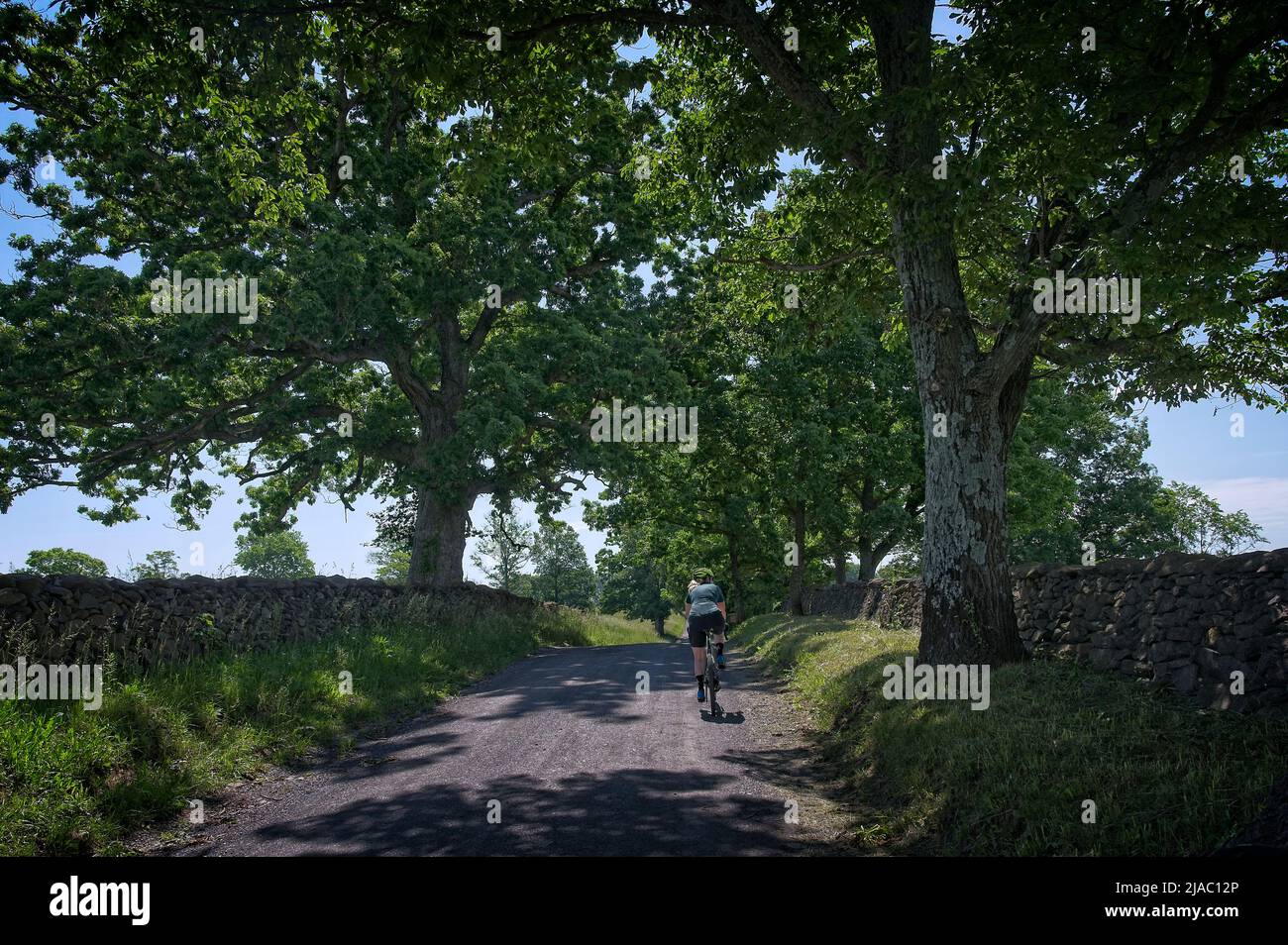 United States / May 29, 2022 Gravel cycling along Millville Road in