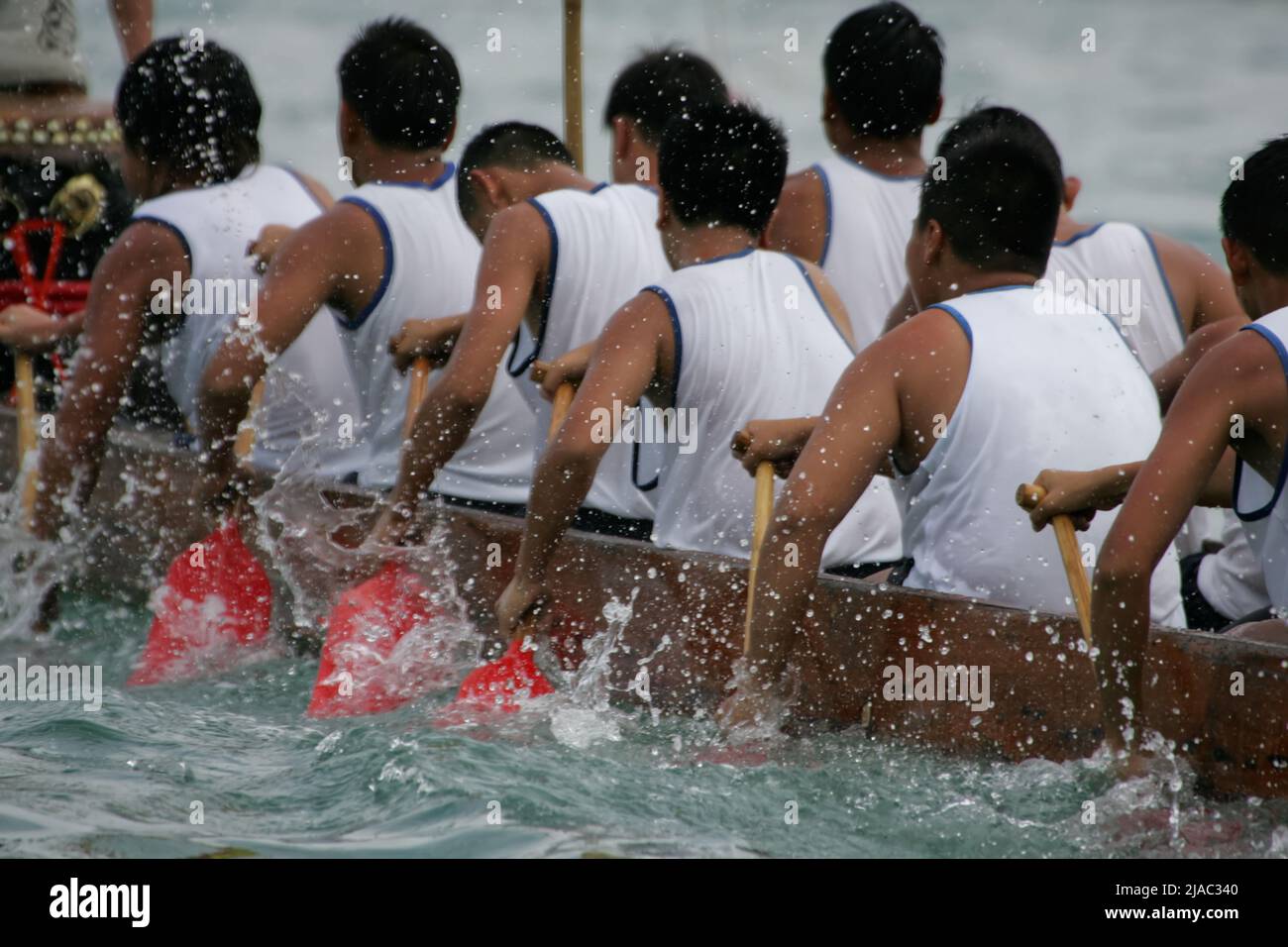 paddling crew of a dragon boat Stock Photo Alamy