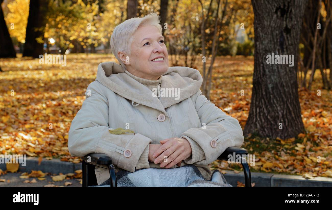 Happy elderly granny sit in wheelchair looks up in autumn park adult retired woman resting outdoors person with disability smiling enjoying good Stock Photo