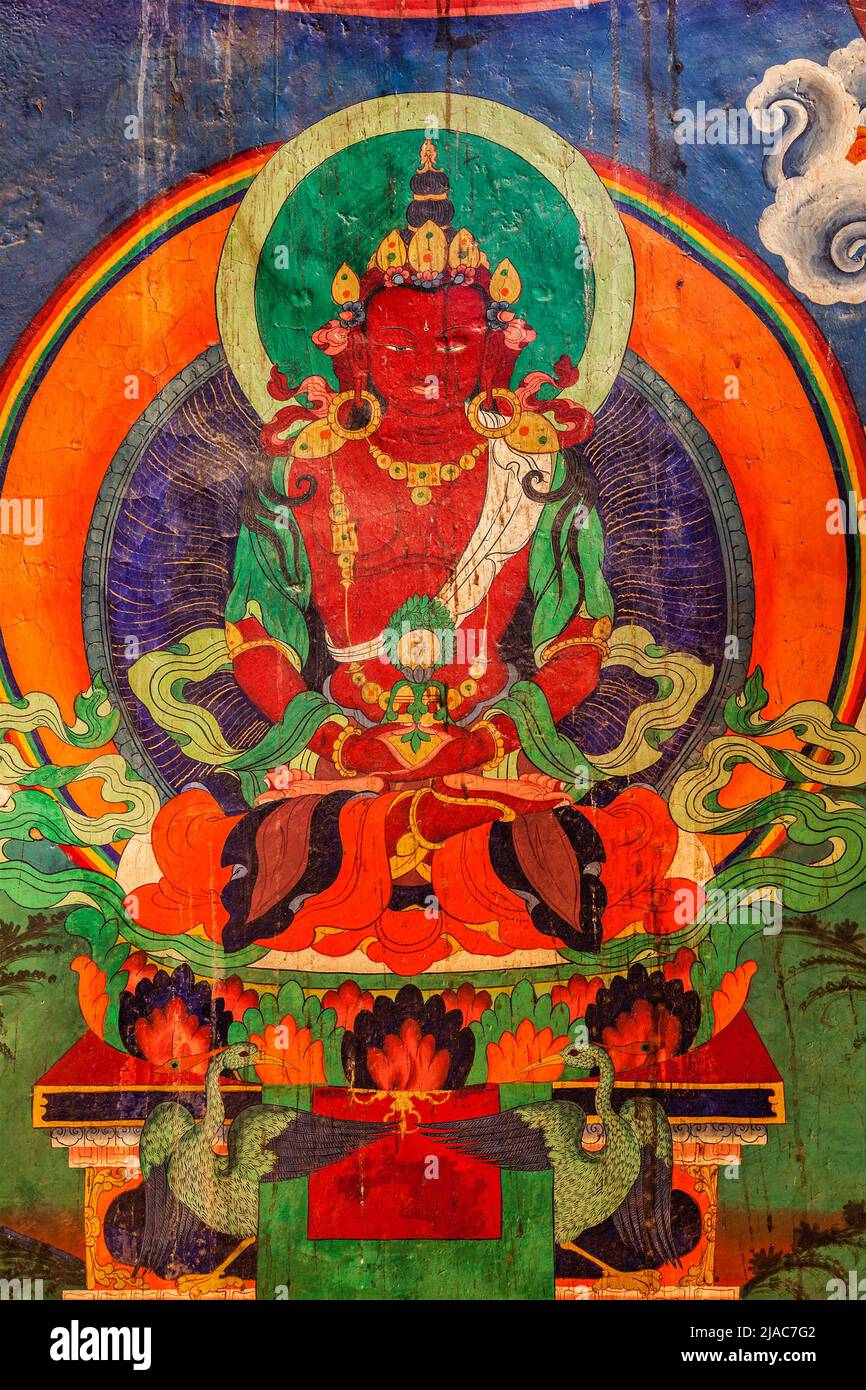 Wall paintings of Buddha in Tsemo gompa. Leh, Ladakh, India Stock Photo