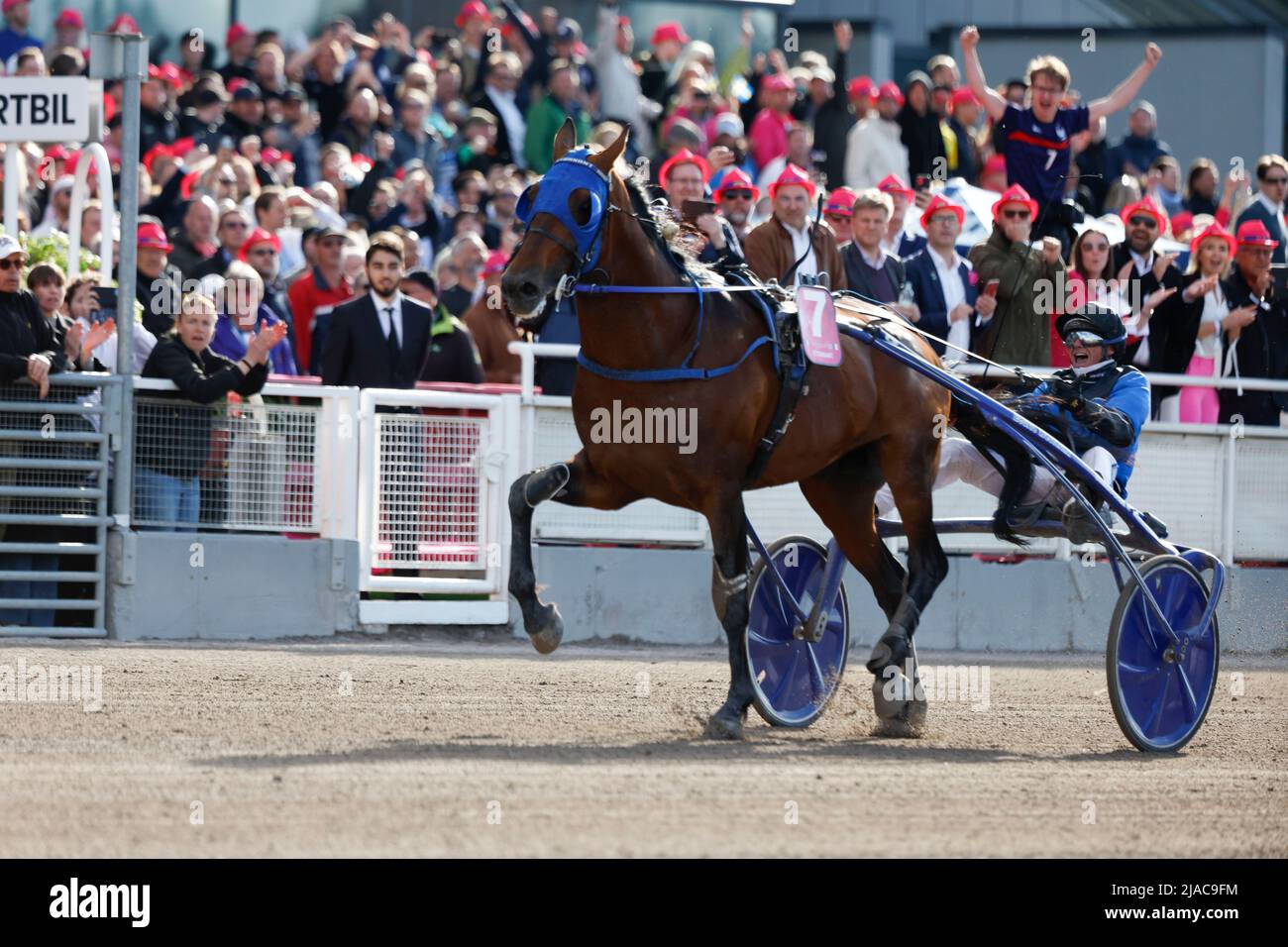 STOCKHOLM 20220529 The French horse Etonnant with driver Anthony Barrier wins the Elite Race 2022 at Solvalla trotting / harness track in Stockholm  Foto Fredrik Persson / TT kod 1081 Stock Photo