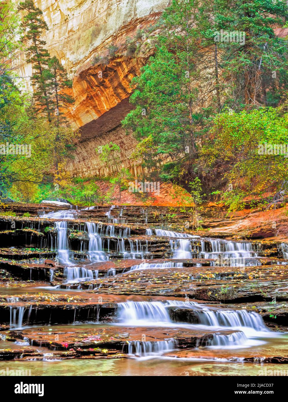 fall colors at archangel cascades on left fork north creek along route