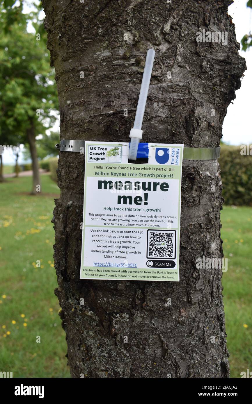 An example of Citizen Science from the Open University - the Milton Keynes Tree Growth Project.  People are asked to collect data about tree growth. Stock Photo