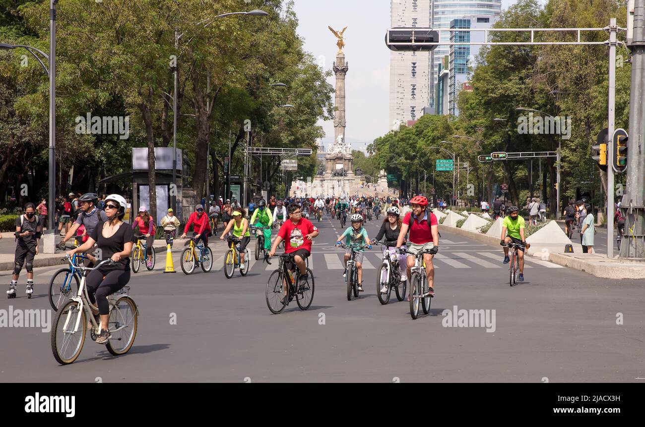 Cyclists, joggers and skaters on Mexico City's Avenida Paseo de la ...