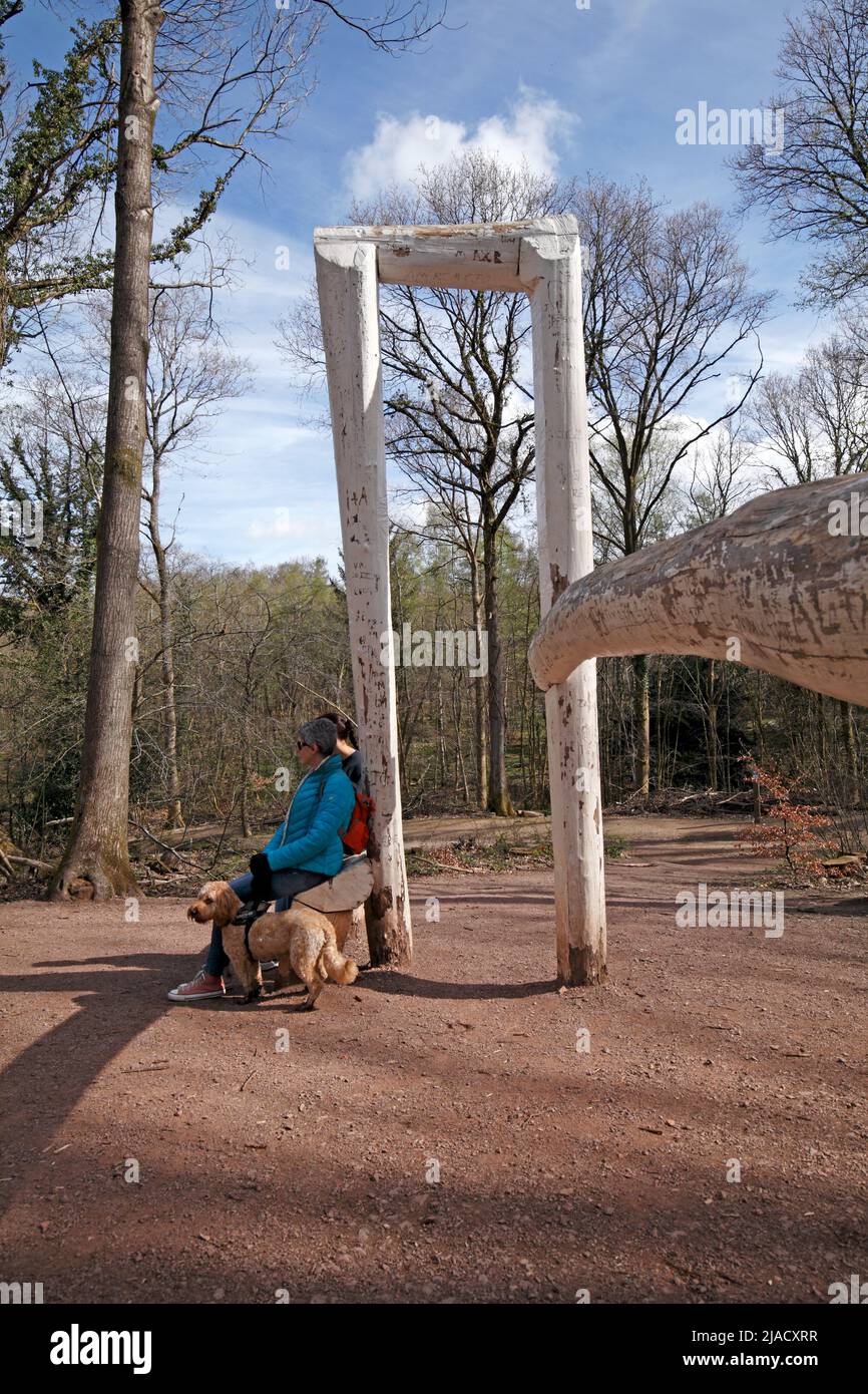 Forest of Dean Sculpture trail park wooden exhibit with visitors and a dog. By Pomona Zipser added in 2016 Gloucestershire England UK GB Stock Photo