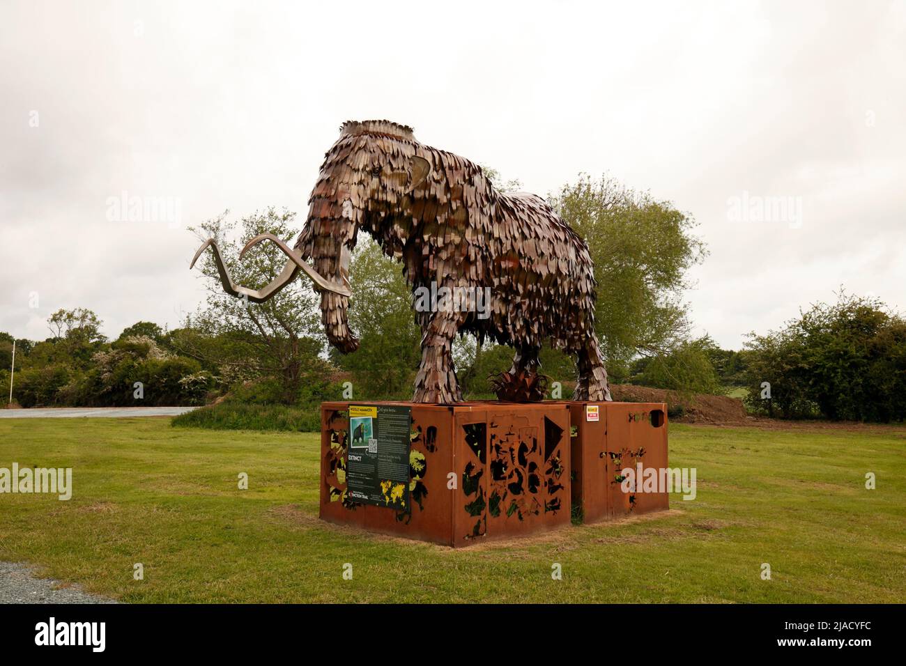 Statue made from scrap metal car parts of a Wooly Mammoth, at British Ironworks centre, Shropshire sculpture park, UK. Stock Photo