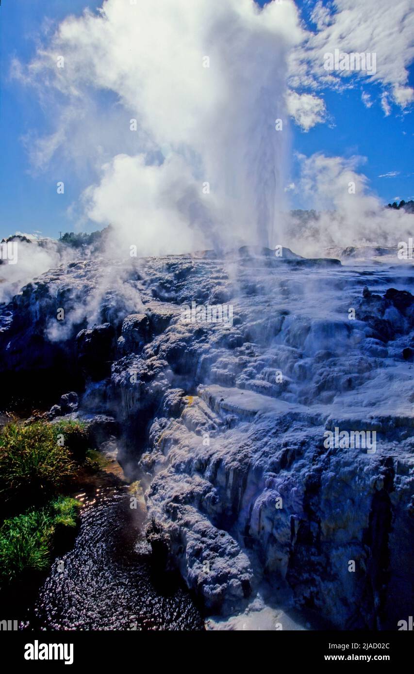 Pohutu Geyser is a geyser in the Whakarewarewa Thermal Valley, Rotorua