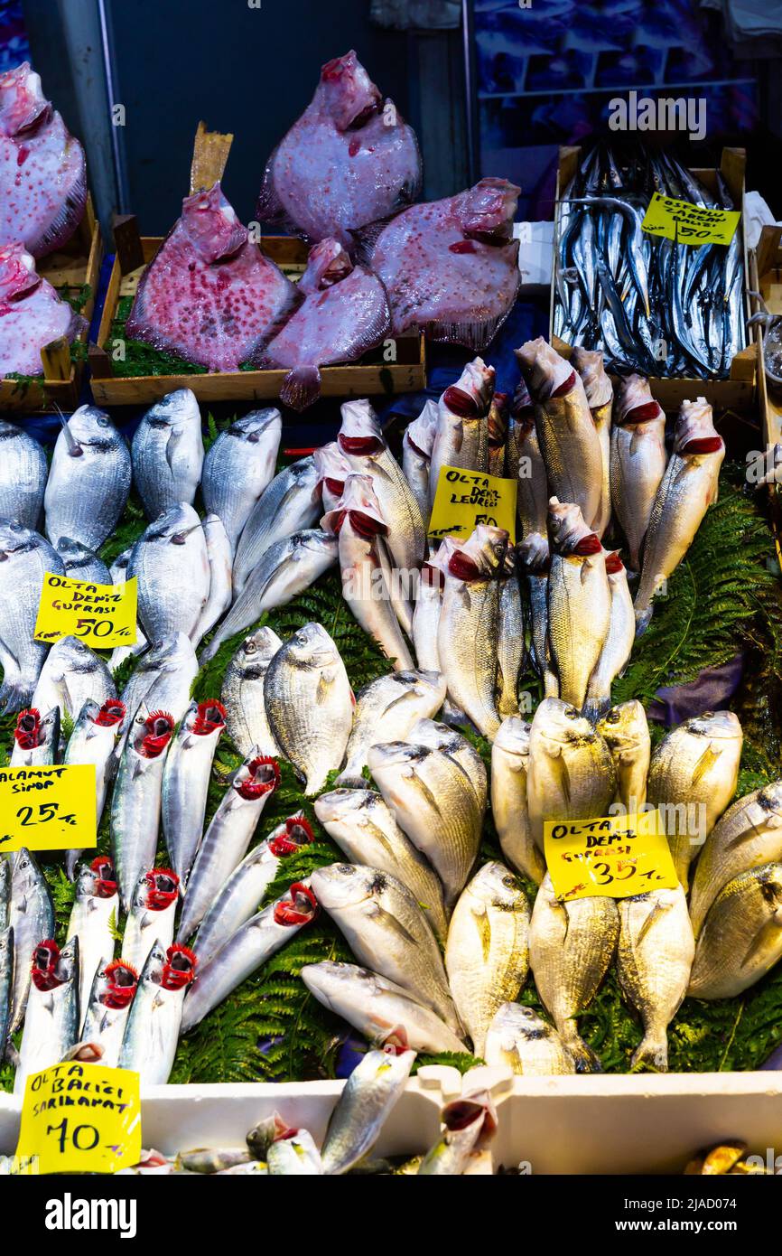 Fresh fish at seafood market in Istanbul. On the price tags names of