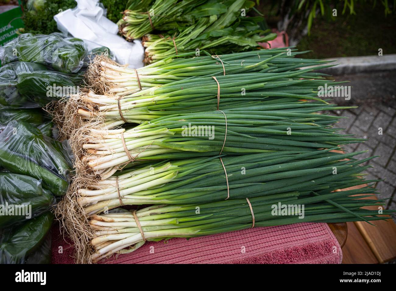 Chives on display at a local country market Stock Photo