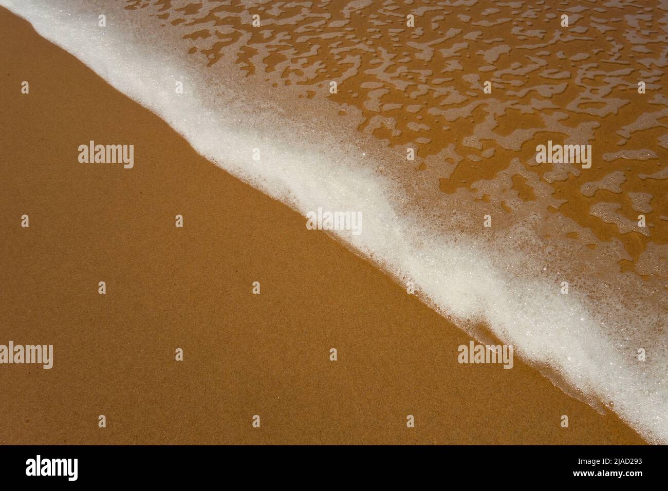Close-up of front of wave rolling into golden sand beach at low tide forming straight diagonal line of sea foam in Portugal Stock Photo