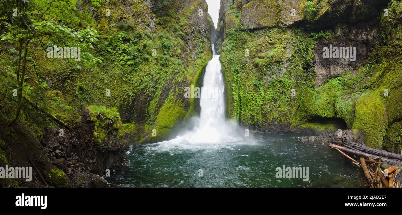 Wahclella Falls flows down a basalt cliff into a beautiful slot canyon and eventually runs into the scenic Columbia River Gorge in Oregon. Stock Photo