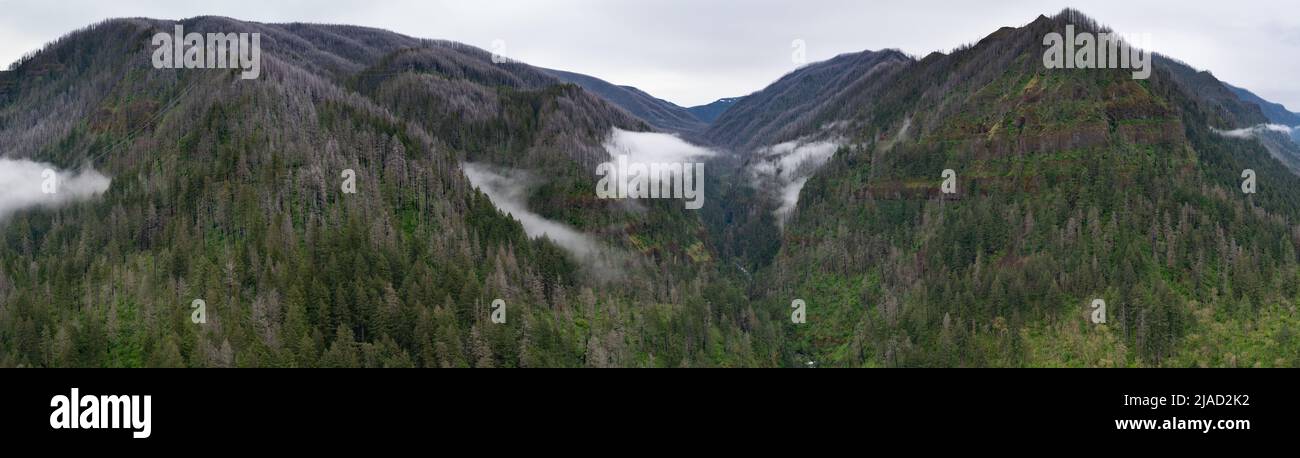 Low clouds drift in a mountainous valley in the Columbia River Gorge, Oregon. This area is known for its waterfalls, forests and the Columbia River. Stock Photo