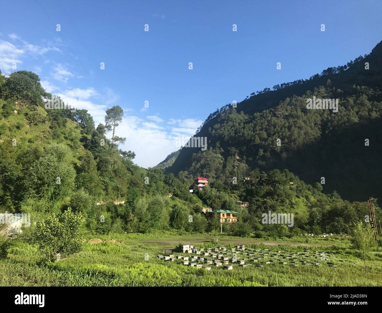 Beehives in a field in Tirthan Valley, Indian Himalayas, Himachal Pradesh, India Stock Photo