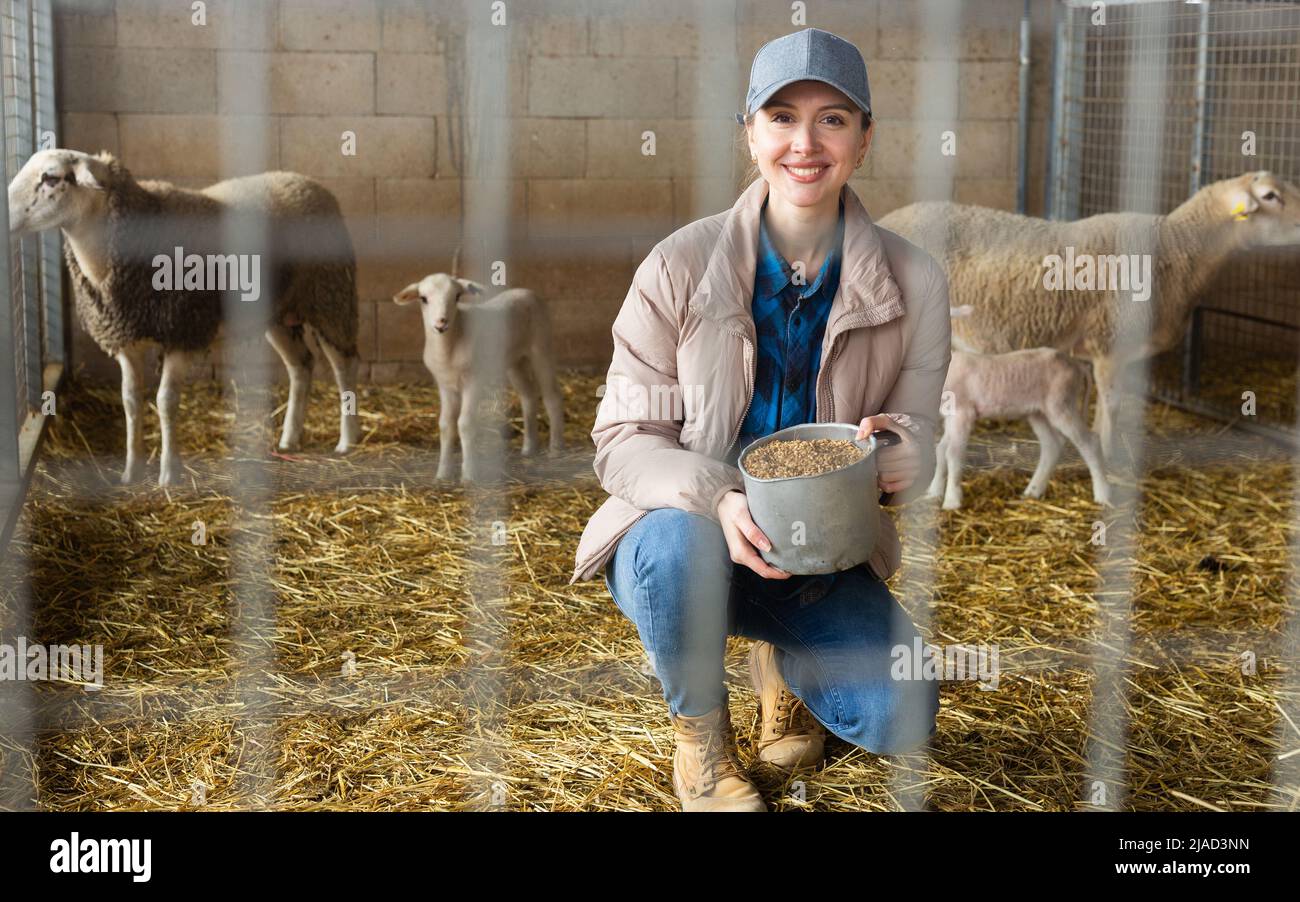 Portrait of female farm worker feeding lambs Stock Photo Alamy