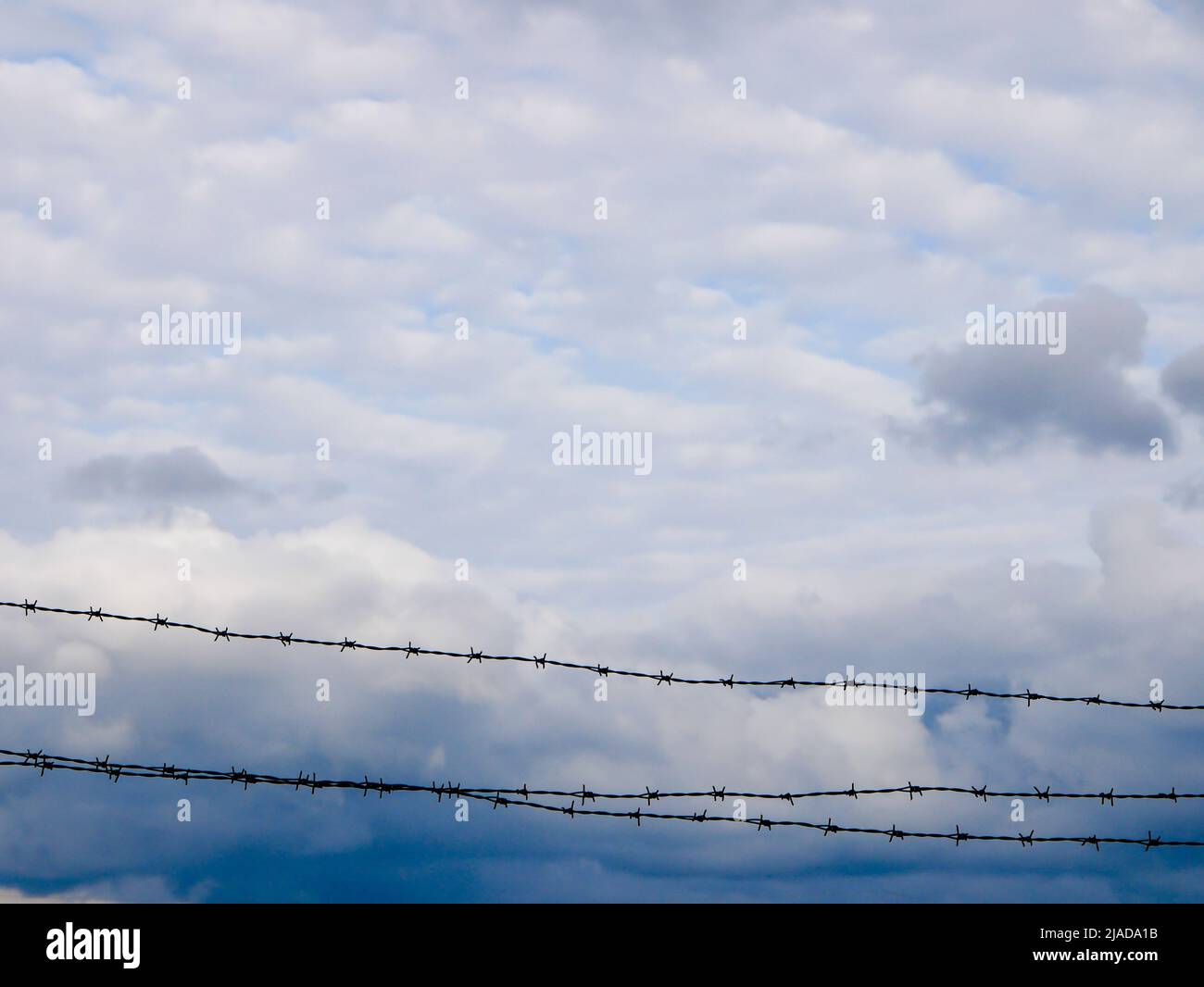 Barbed wire and dark clouds sky backgrounds Stock Photo