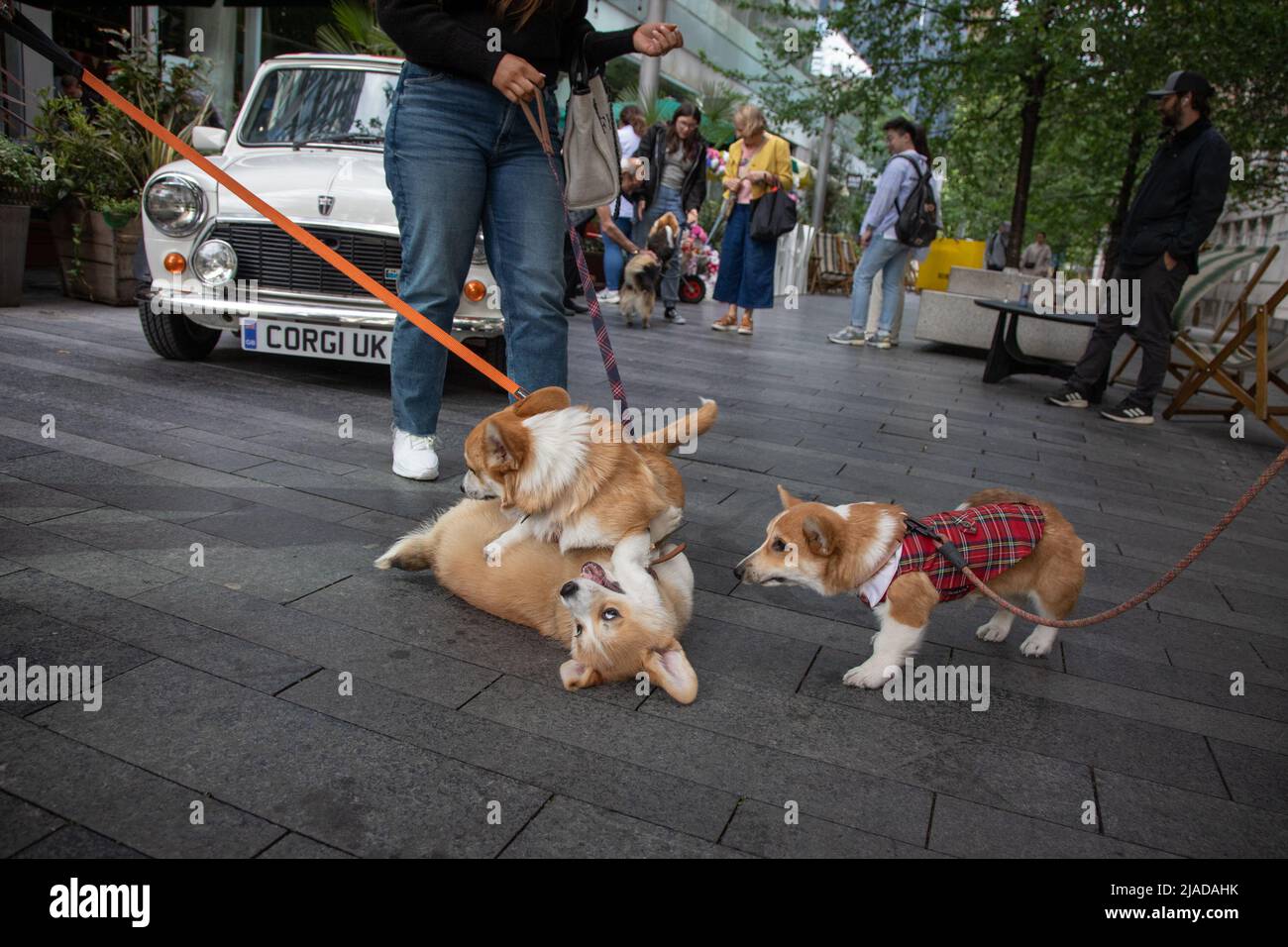 London, UK. 29th May 2022. playing outside a popup Cafe