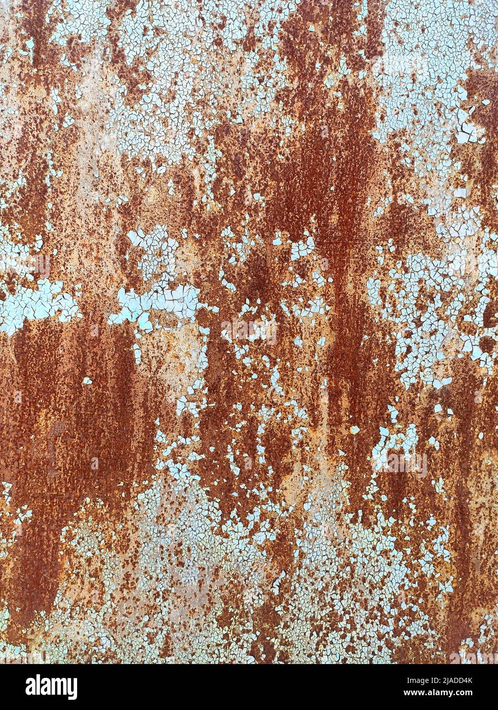 Corroded metal background. Rusted white painted metal wall. Rusty metal