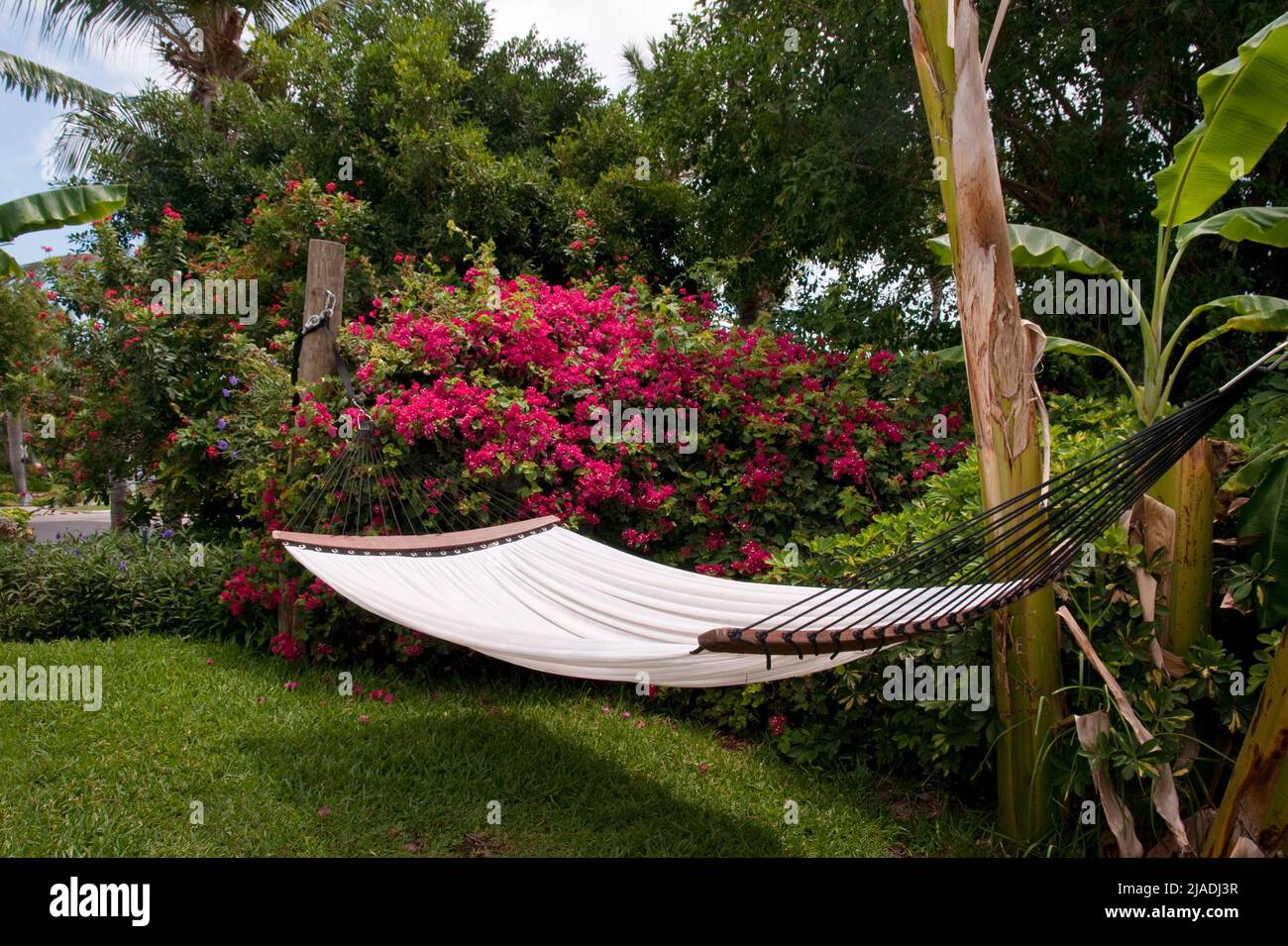 Hammock beneath palm trees in Providenciales, Turks & Caicos Stock Photo